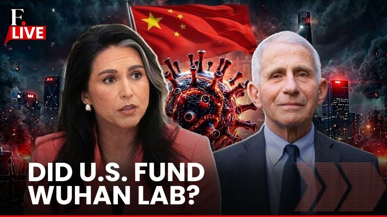 Covid Files LIVE: Tulsi Gabbard Targets Fauci Over COVID-Linked Research Funding