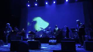 Bryan Ferry - My Only Love [Live]