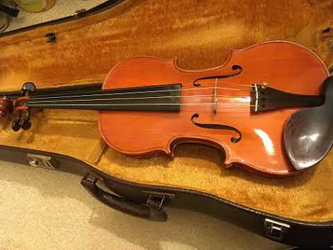 Masiero Renato 2008 (Renako) (String - Perpetual) : 2019-05-26 (2)