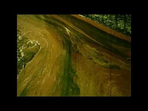 Dispersant Use During Torrey Canyon Oil Spill Response  1967