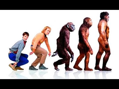 Tráiler Una joven pareja de idiotas 2003