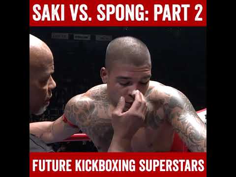 Gokhan Saki vs. Tyrone Spong - Part 2