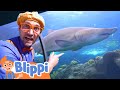 Blippi Visits An Aquarium Ody Aquarium Educational Videos For Kids