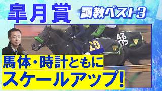 「ここを目標に万全の仕上げ！」ロブチェン、カヴァレリッツォ、グリーンエナジー・・・競馬エイト・高橋賢司トラックマンの調教解説＜皐月賞(ＧⅠ)＞