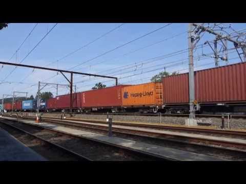 1100's and RL303 seen again with Qube 5166 - 19/11/15