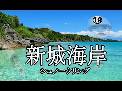 Costa Miyakojima Shinshiro - Mergulho com snorkel em 4K ⑲ 2023.07.23