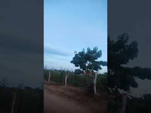 @radio conmonicatia AGB ritiro são Francisco minas gerais tel 55 38 998973868 