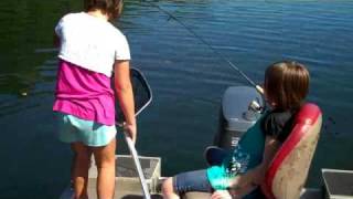 preview picture of video 'lake Taneycomo 8/23 trout fishing trip #4'