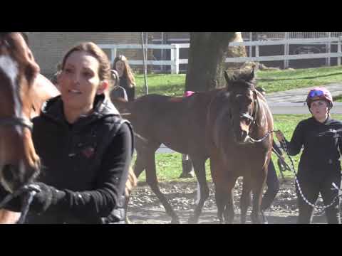 Staldrundgang Marc Stott 2019 3 åringer