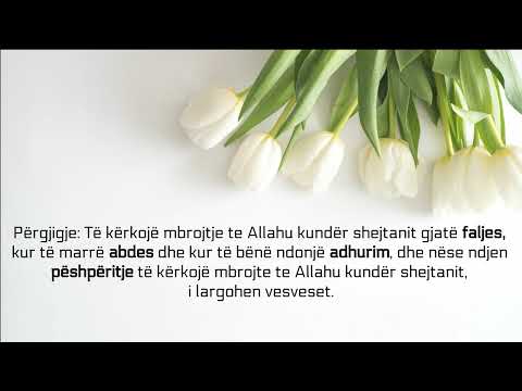 E kaplon gjumi dhe plogështia për shkak të vesveseve - Feuzan