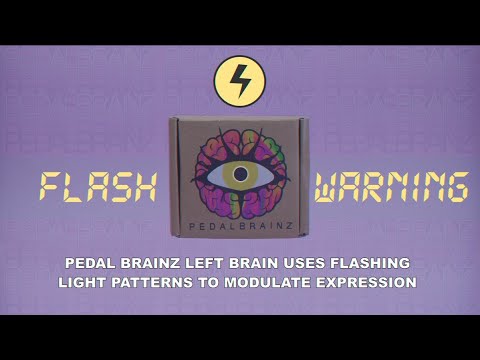 Pedal Brainz Left Brain - Expression Modulator image 5