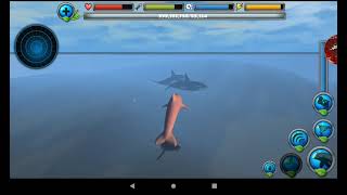 Dolphin Simulator Longplay