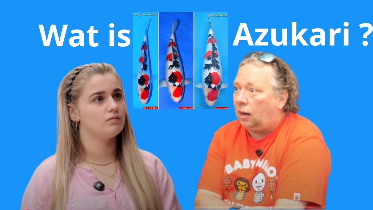 Wat is Azukari ?
