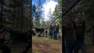 Norse Pagan Working Party