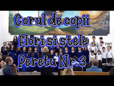 Corul de copii Flori si stele Peretu Nr.3