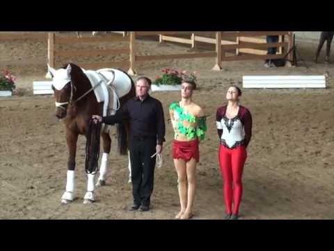 Bayerische Meisterschaften 2016 - Wilfing, Sirch