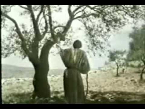 Los Profetas de la Biblia