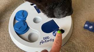 Interactive Dog Puzzle - An Activity Toy for Two!