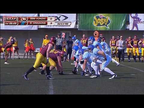 Nikola Savic 2017 . season highlights