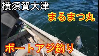 ２０２６年横須賀大津まるまつ丸