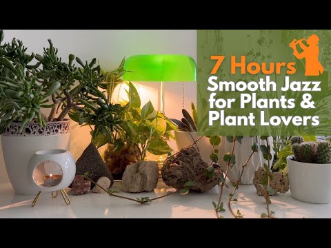 Smooth Jazz Music for Plants and Plant Lovers; 7 Hours Jazz Music for Happiness