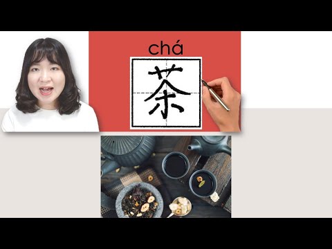 【NEW HSK1/4】 #hsk1 _茶/cha/(tea) How to Pronounce & Write Chinese Vocabulary/Character