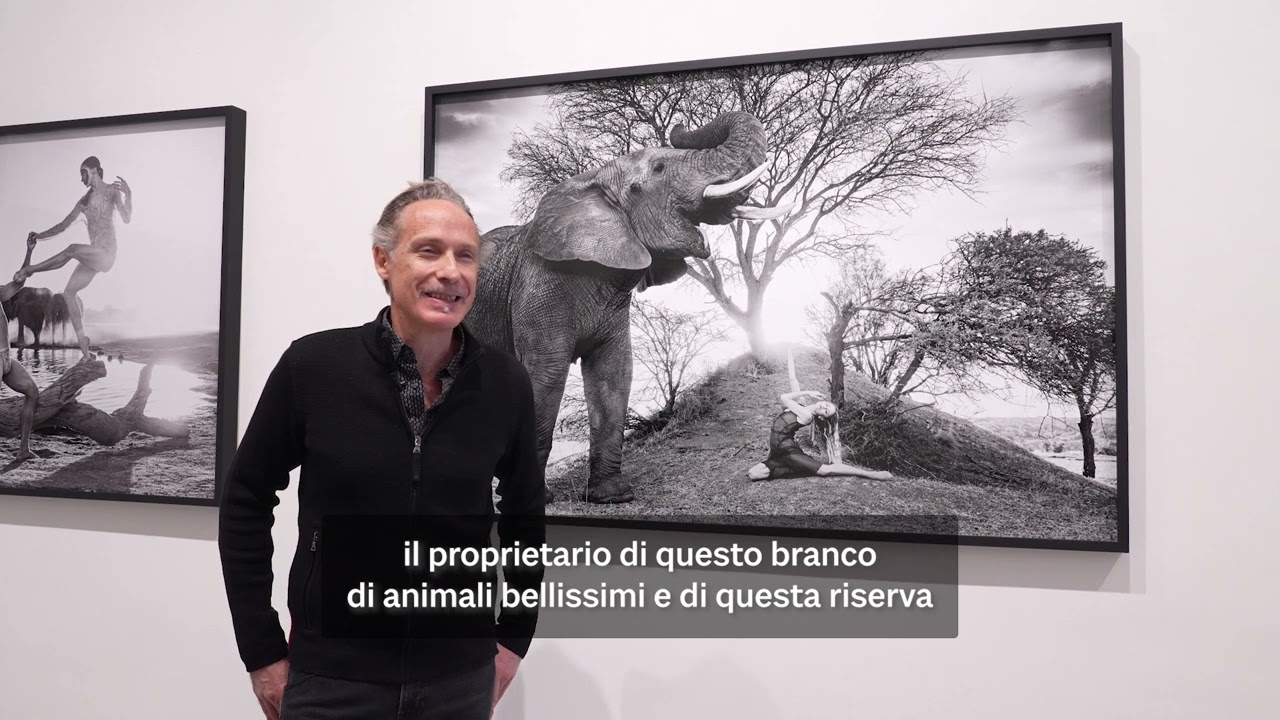 Le impressionanti fotografie di elefanti e ballerini a confronto