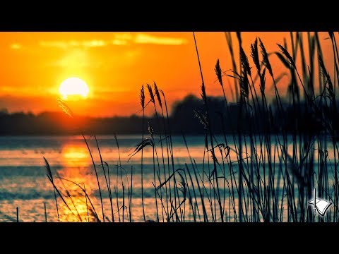 2020-0526PM - God's Chosen Place Of Worship_65-0220