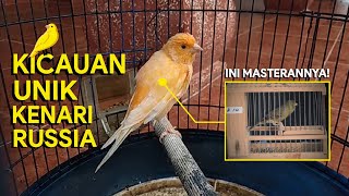 Download lagu TIPS PEMASTERAN EFEKTIF AGAR BURUNG BERKICAU SEPERTI KENARI RUSSIA mp3 Download lagu TIPS PEMASTERAN EFEKTIF AGAR BURUNG BERKICAU SEPERTI KENARI RUSSIA mp3