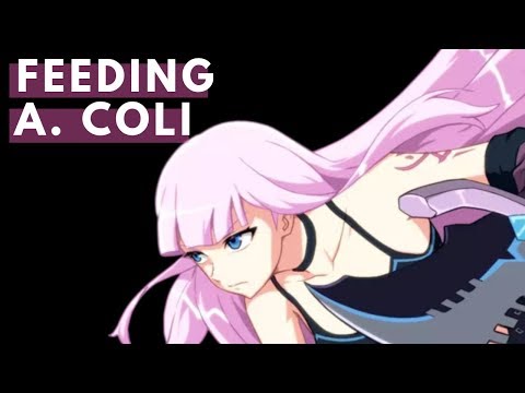 【Epic Seven】 F2P | This is how you feed your bae, no matter the cost | Assassin Coli
