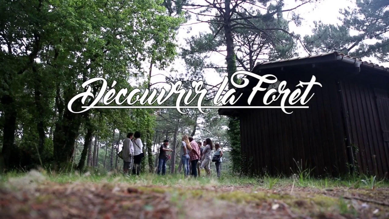 Cliquer pour lancer la vidéo