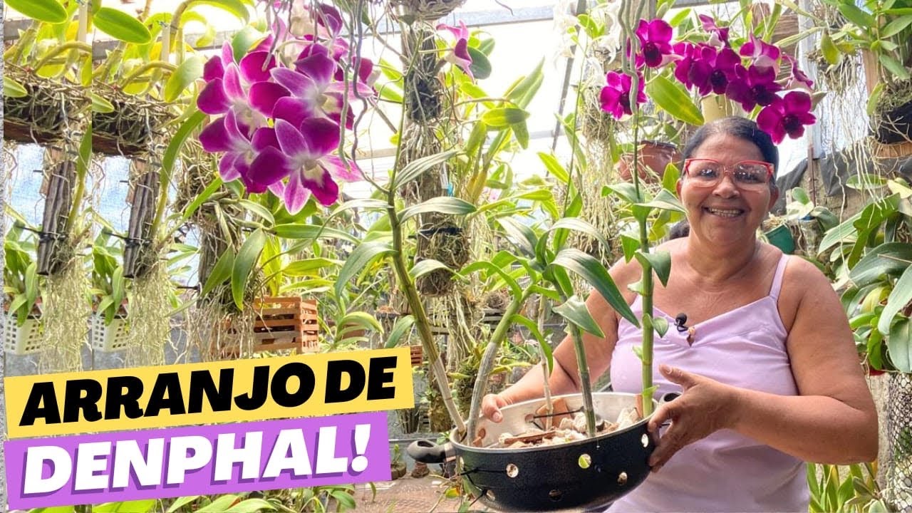 🔵FIZ UM ARRANJO COM 5 ORQUÍDEAS DENPHAL VEM VER O PASSO A PASSO‼️