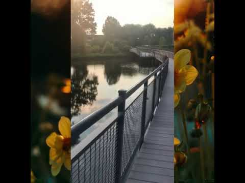 Take a Walk Along the Boardwalk at Parc Meridian
