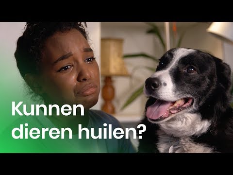 Kunnen dieren huilen? | Het Klokhuis