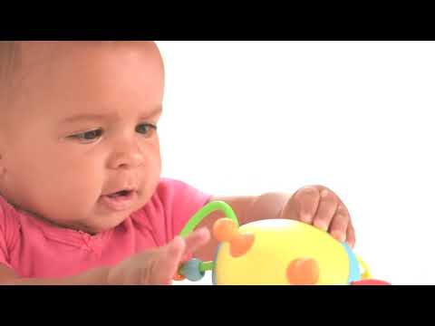 SkipHop Explore & More Roll-Around Rattles