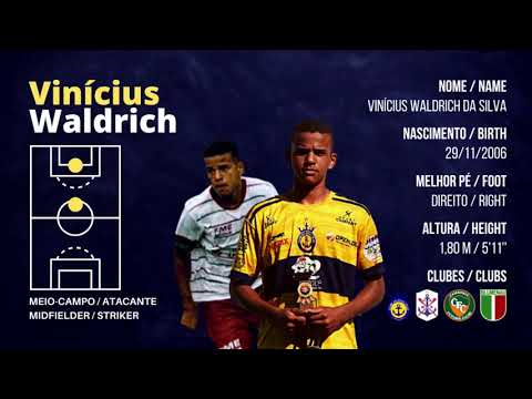 Highlights ● Vinícius Waldrich 2022 ➤ Blumenau EC (Meia / Offensive Midfielder)