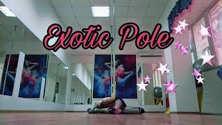 Exotic PoleDance/ Sarah Fimm - Lioness