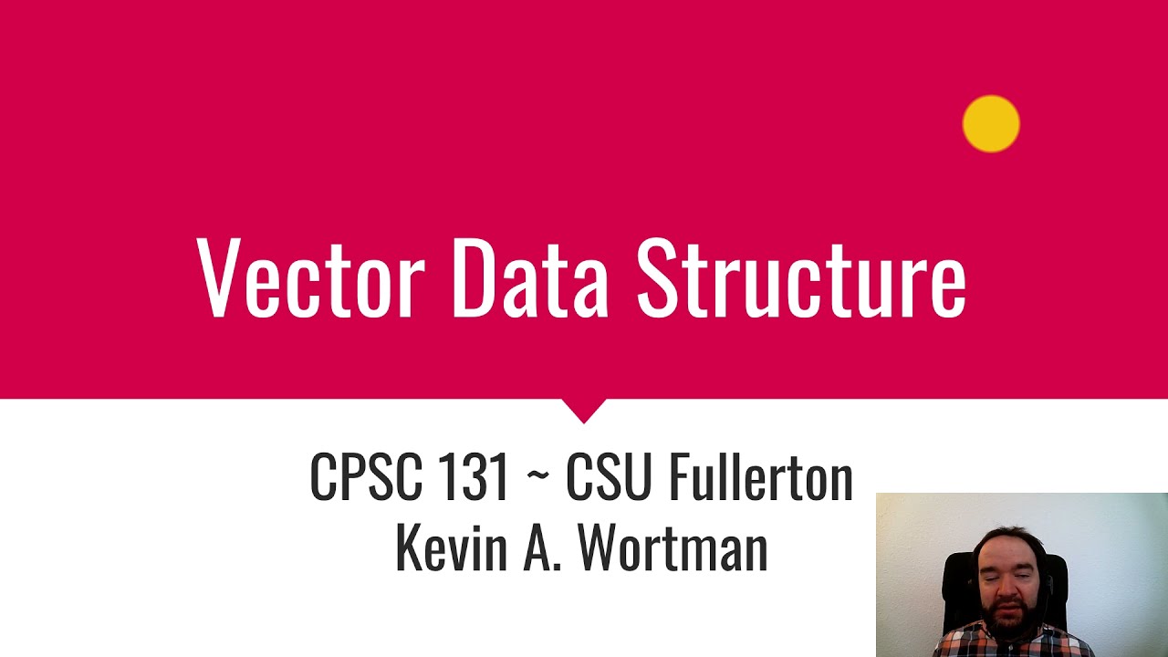 Vector Data Structure