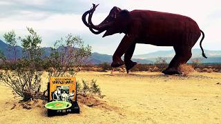 Wells Fargo - Watch Out (Vinyl Me, Please)