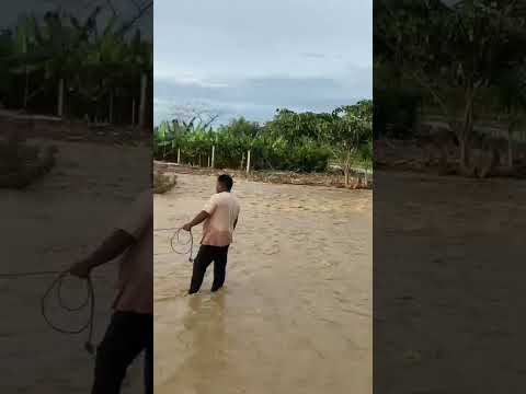 Recinto la Ernestina Montalvo Los Ríos Ecuador, invierno 2026