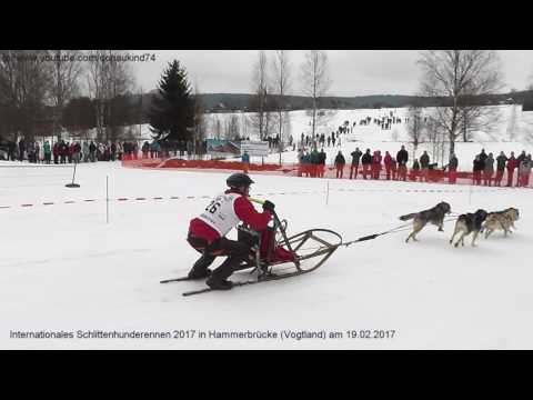 Internationales Schlittenhunderennen 2017 in Hammerbrücke am 19.02.2017