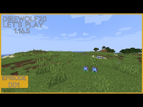 Direwolf20 Let's Play 1.16.5 | Ep - 001 - Restarting