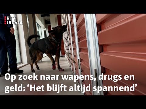 Zo gaat De Ronde Venen de strijd aan met ondermijning | RTV Utrecht