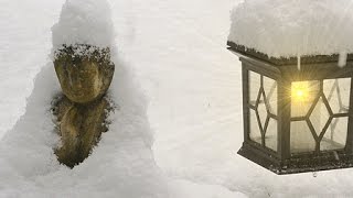 PIOESIE + LYRIK Erster Winterschnee 最初の冬の雪