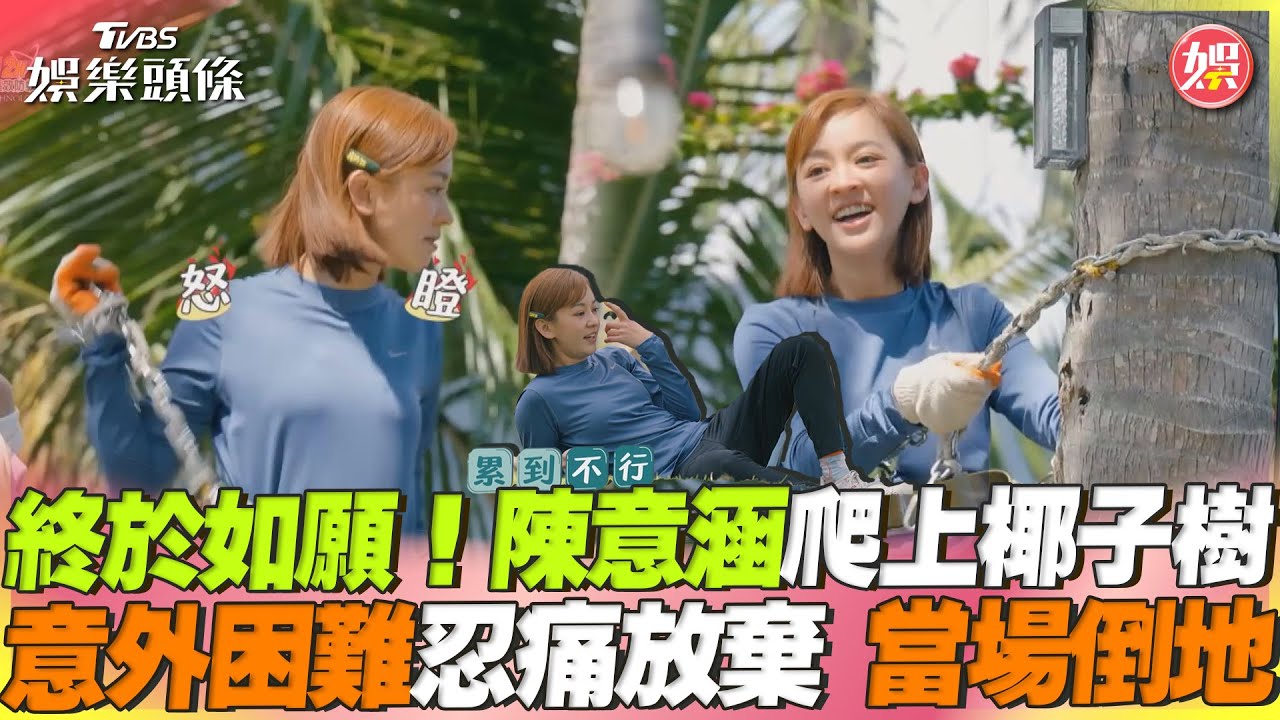 驚人!陳意涵錄外景「從樹上摔下」受傷 癱地哀號:我手還流血