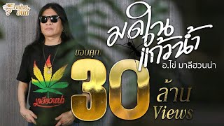 มดในแก้วน้ำ – อ.ไข่ มาลีฮวนน่า