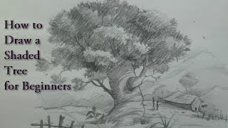 How to draw a shaded tree with landscape for beginners