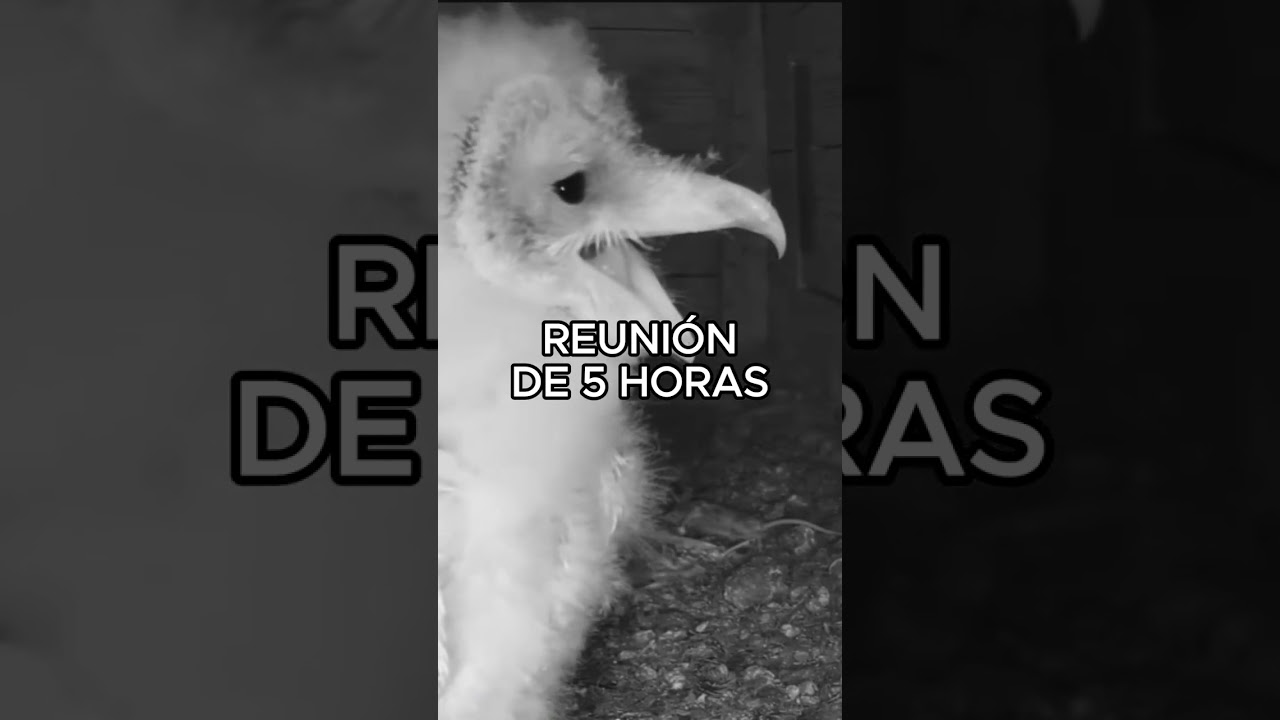 Seguro que te ha pasado.