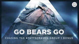 CHASING GROUP 1 SUCCESS | THE JOURNEY OF GO BEARS GO 🐻