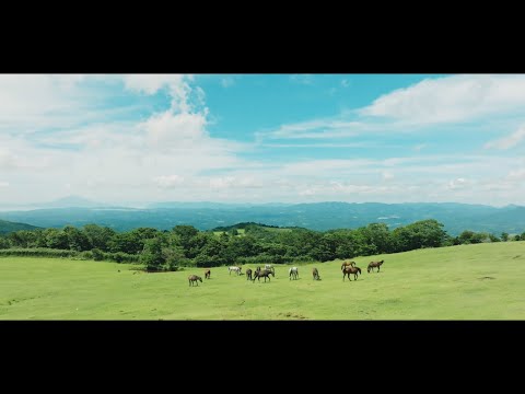 2023 Re-Wild Kagoshima, JAPAN (ホーストラスト)